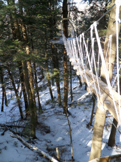 High above the forest floor, this rope/wood bridge is part of the Arbortrek Canopy Adventures' course Credit: Julie Kalan