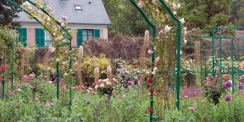 Each year 500,000 visitors walk the central path of Monet's Clos Normand flower garden Credit: All photos by Julie Kalan