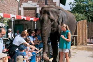 The Buffalo Zoo is a family-friendly attraction