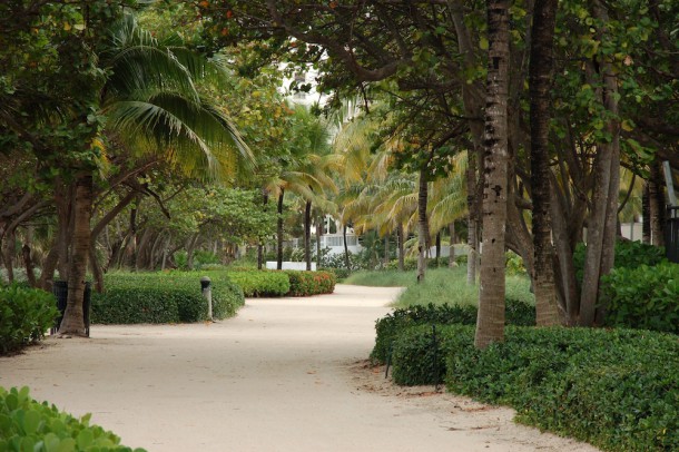 Shaded by tropical trees a mile long jogging path meanders along the Bal Harbour beachfront