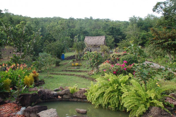 A Creole garden, post-slavery period houses and a poignant history lesson at La Savane des Esclaves. 