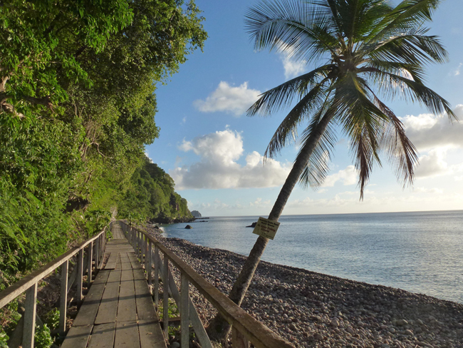 Walkway to champagne reef on Dominica