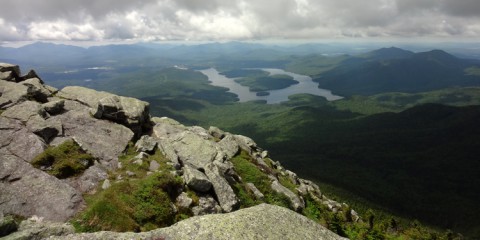 Whiteface