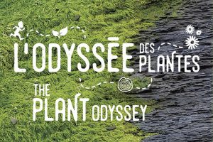 Plant Odyssey