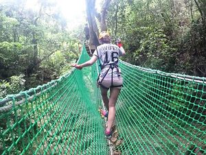 Antigua Rainforest Canopy Tour