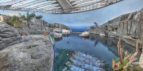 The Gulf of St. Lawrence exhibit - Biodome