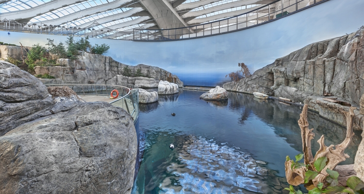 The Gulf of St. Lawrence exhibit - Biodome