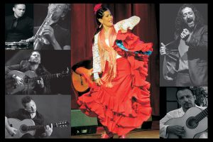 Flamenco del Sur