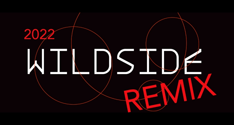 Wildside Festival Remix