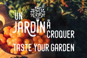 Taste Your Garden