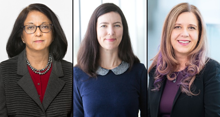 The Basics of Better Mental Health recipients, Dr. Stephanie Borgland, Dr, Liisa Galea, and Dr. Susan George, are investigating mental health conditions including depression, anxiety, and postpartum depression, with a significant emphasis on sex-specific factors or differences.