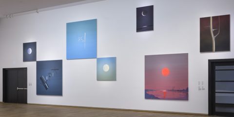 View of the exhibition Wanda Koop: WHO OWNS THE MOON.