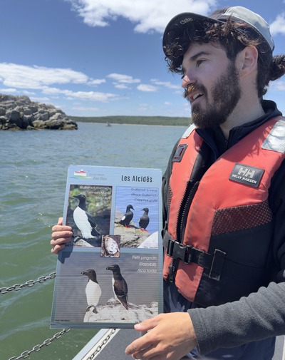 Duvetnor guide explains some of the bird species found on the surrounding islands