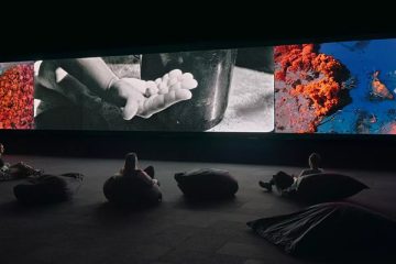 Broken Spectre: A immersive installation by Richard Mosse