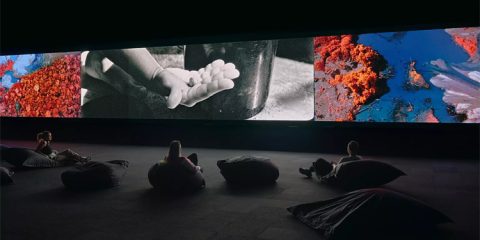 Broken Spectre: A immersive installation by Richard Mosse