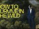 How to Survive in the Wild