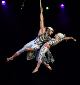 Cirque du Soleil will present OVO at the Bell Centre from Dec. 27 to Jan. 3, with matinée and evening shows 