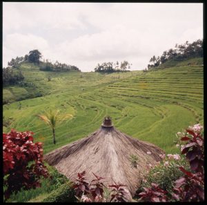 Arthur Erickson, Travel slide from Bali, Indonesia, ca. 1970s, 