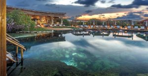 Dine overlooking a sacred cenote at ATTA Restaurant and Cenote Club