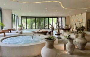 The serene spa's hydrotherapy circuit offering relaxation in harmony with nature 