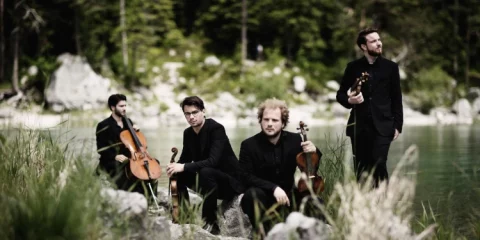 Goldmund Quartett