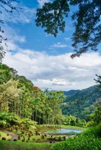 Martinique's Jardin de Balata