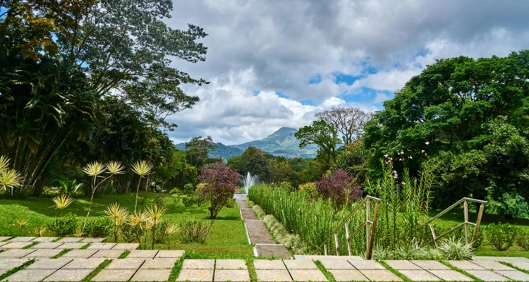 Martinique's Domaine D’Emeraude